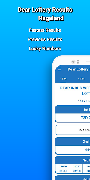 Dear Lottery Results Nagaland Screenshot 0