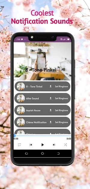 Bird Songs ringtones Screenshot 3
