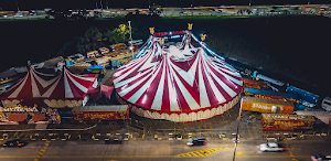 Circus music ringtone screenshot 1