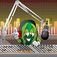 Rádio Voz de Arari