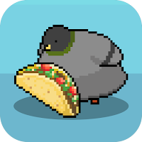 Pigeon Raising