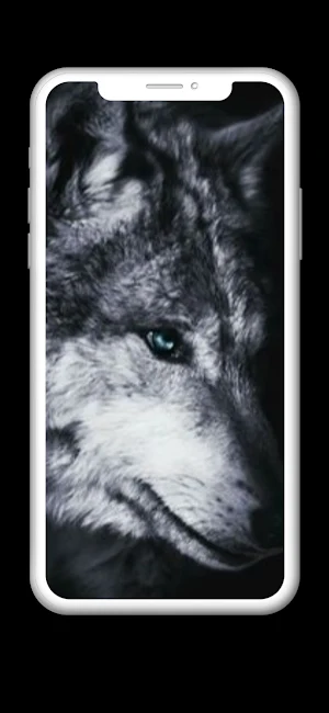 Wolf Wallpaper HD Screenshot 3