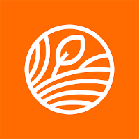 BETALIFE