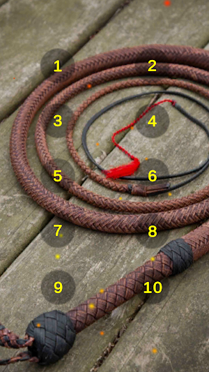 Whip Crack Sounds Soundboard Screenshot 1