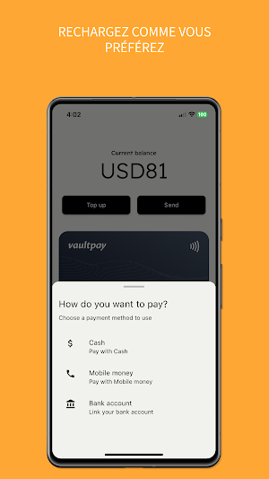 Vaultpay RDC Screenshot 3