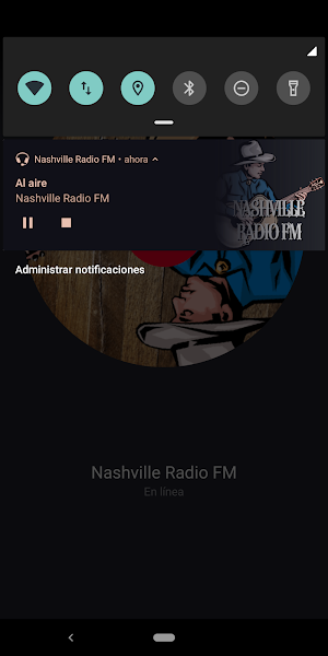 Nashville Country Radio Player FM App Music Screenshot 3