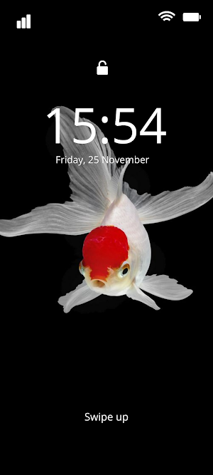 Aesthetic Goldfish Wallpaper Screenshot 3