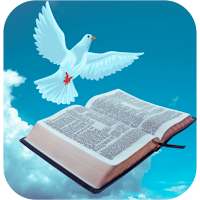 Quiz Bíblico Jogo Gospel
