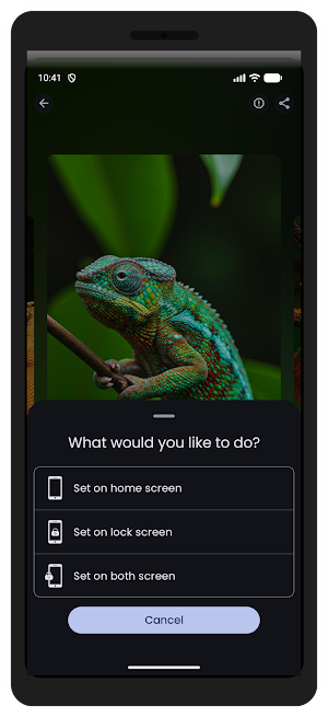 Chameleon Wallpaper HD & 4K Screenshot 3