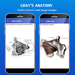 Gray's Anatomy - Anatomy Atlas 2020 Screenshot 3