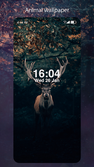 Wallpapers – 4K and HD BG Screenshot 0
