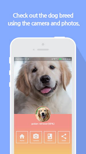 What is your dog? Screenshot 3