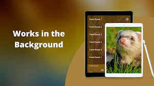 Ferret Sounds Screenshot 1