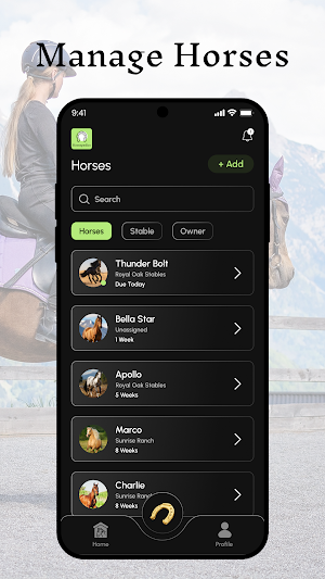 Horsopedics Screenshot 1