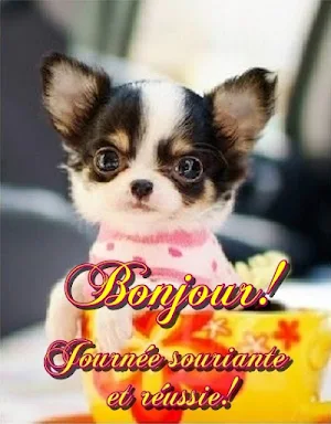 Cartes de vœux Bonjour Screenshot 0