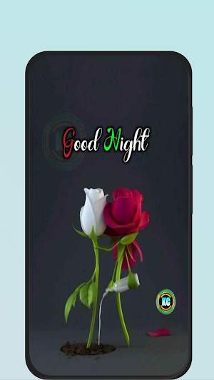 love photo rose Screenshot 1