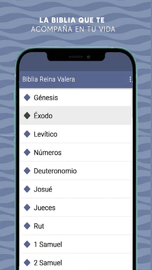 Biblia Reina Valera Antigua Screenshot 2