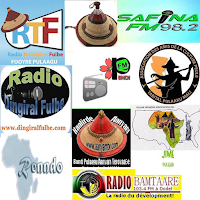 Pulaar Radio Stations AM FM