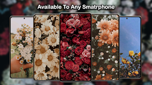 Dark Rose Wallpaper Screenshot 1