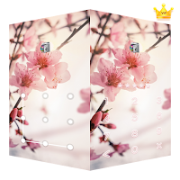 AppLock Theme Peach Blossoms