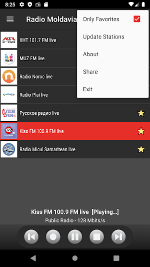 RADIO MOLDOVA Screenshot 2