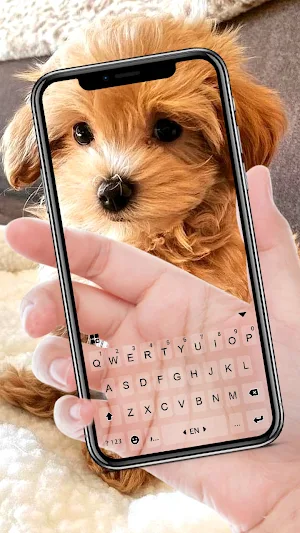 Animal Transparent Themes Screenshot 1