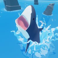 Shark Attack