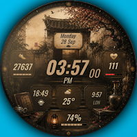 A169 Old Gate Watchface