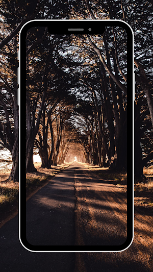 Road Wallpaper Screenshot 0