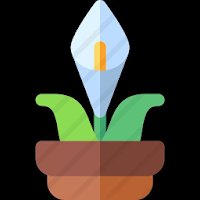 Lily of the Valley