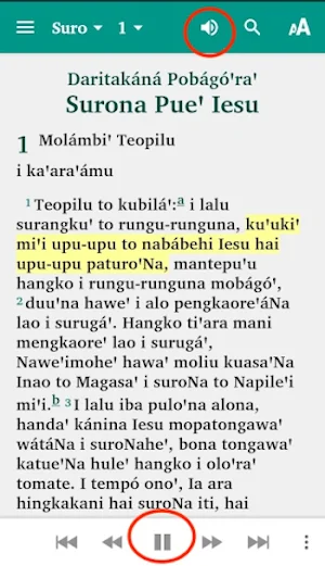 Alkitab Behoa Screenshot 0
