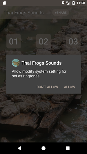 Thai Frog Sounds Screenshot 2