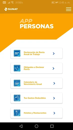 Personas SUNAT Screenshot 1
