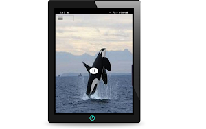 Orca Sound Screenshot 3