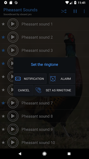 Pheasant sounds ~ Sboard.pro Screenshot 2