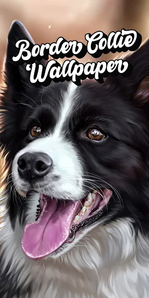 border collie wallpaper Screenshot 0