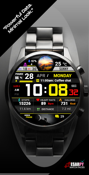 ES WR0021 Screenshot 2
