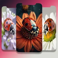 Cute Ladybug Wallpaper