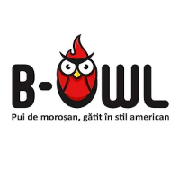 B-OWL