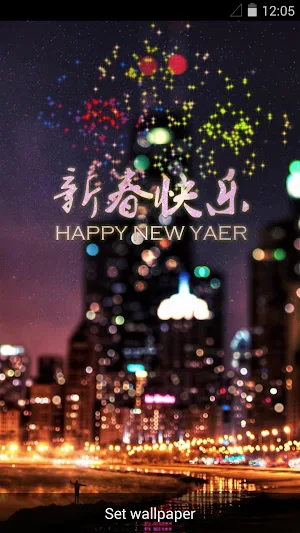 Night Fireworks Live Wallpaper Screenshot 2