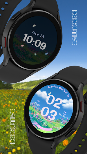EXD147: Digital Spring Hill Screenshot 0