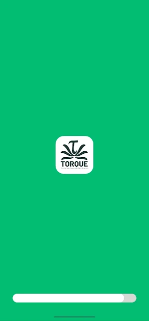 TORQUE ERP Screenshot 0