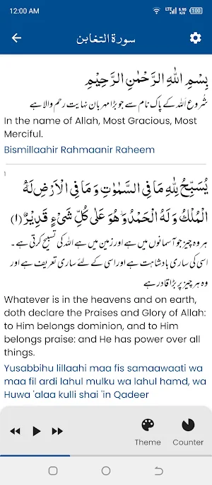 Surah Taghabun سورة التغابن Screenshot 3