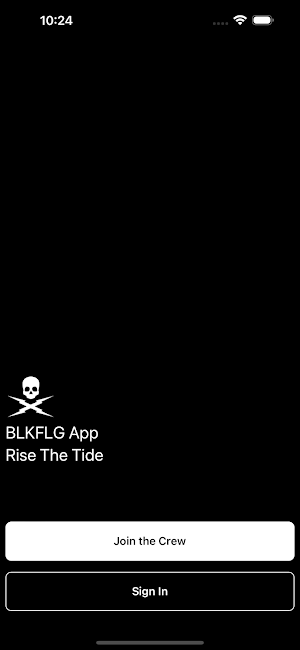 BLK FLG Screenshot 2
