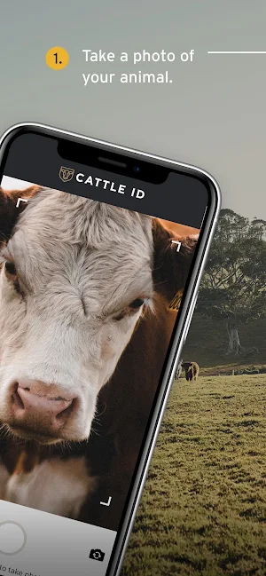 Cattle Id by FNBO Screenshot 1