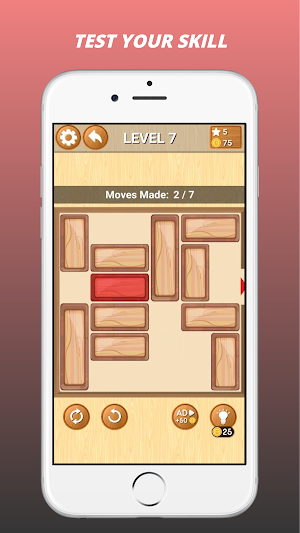 Wood Unblock Puzzle Game Screenshot 3