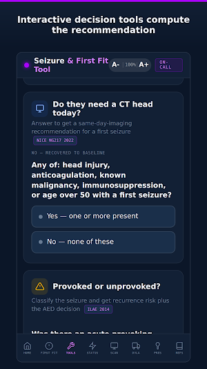 Seizure Decision Tool Screenshot 2