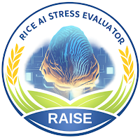 RAISE IIRR