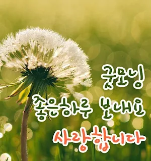 안녕하세요 Screenshot 0