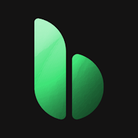 Blype